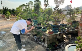 农业短视频拍摄剪辑 援藏干部的“秘密武器”：用短视频成功带货 走出一条“特色旅游+农业”的致富路