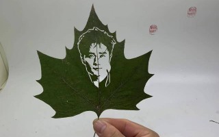 叶雕短视频制作 一块小小的叶子，也可刻画出美丽，这个古老“叶雕”手艺，温暖人